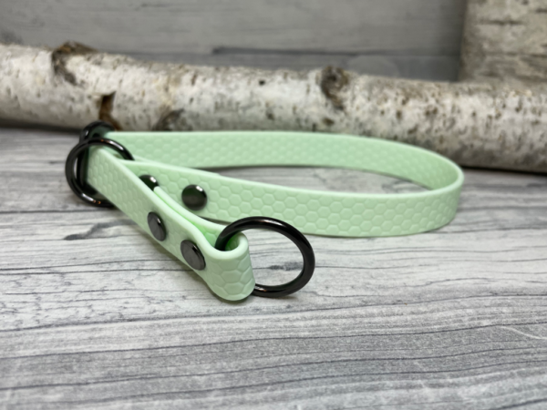 Retrieverhalsband Mintgrün "Hexa"