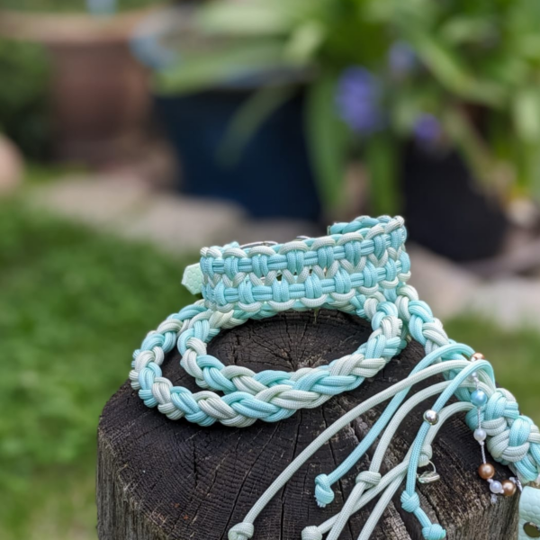 Halsband Curvt klein mit Leine