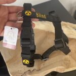 Vorheriges Produktbild