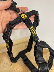 blinderhund_geschirr1