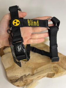 blinderhund_geschirr2