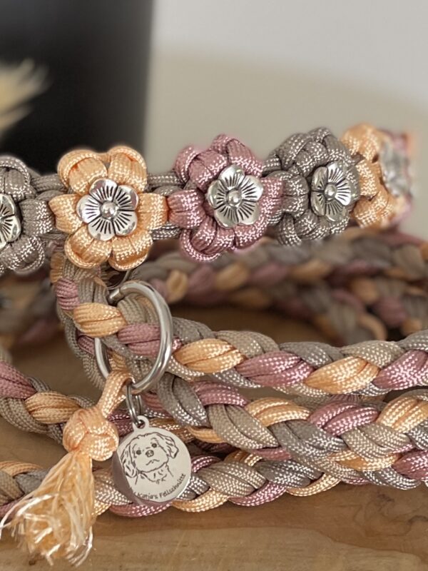 Set Flower