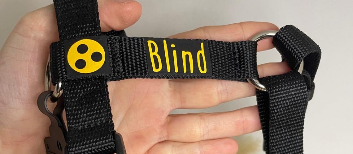 blinderhund_geschirr2